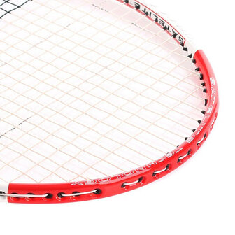 Babolat Satelite Brio
