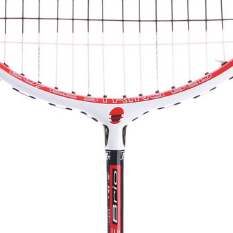 Babolat Satelite Brio